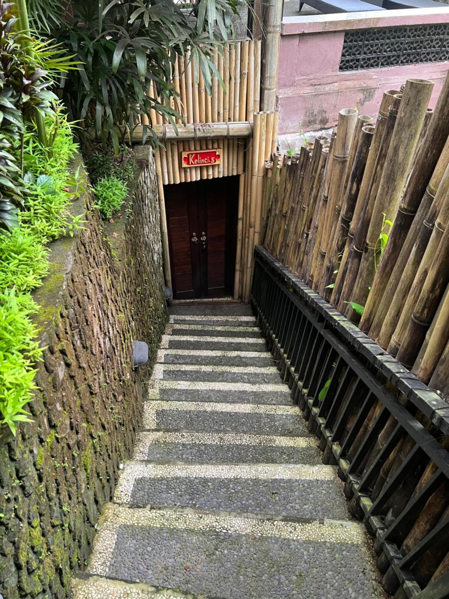Rumah Kelinci Ubud  Exterior photo