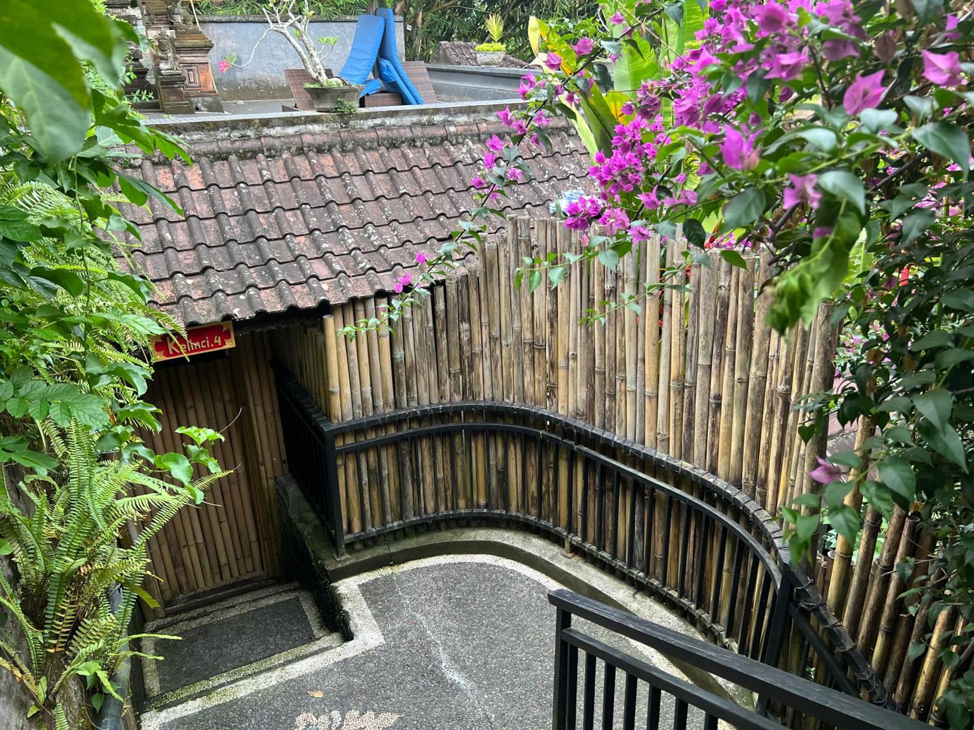 Rumah Kelinci Ubud  Exterior photo